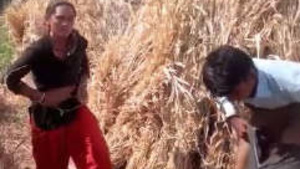 Indian couple fucks in the great outdoors